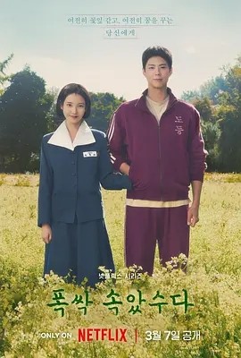 苦尽柑来遇见你 (2025) 丨李知恩 / 朴宝剑主演丨剧情 / 爱情丨韩剧丨豆瓣9.4分丨全16集丨又名: 辛苦了封面
