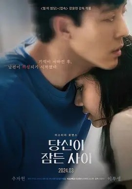 当你沉睡时 당신이 잠든 사이 (2024)封面