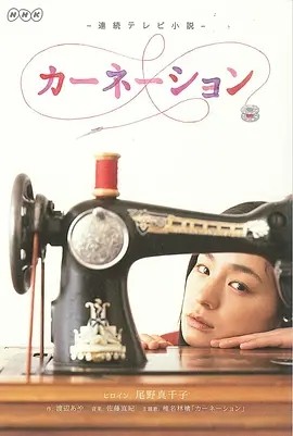 康乃馨 カーネーション (2011)丨9.2分封面