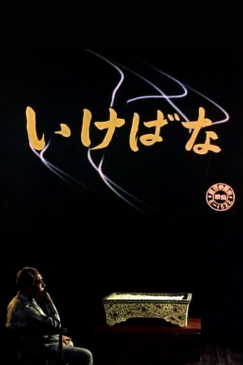 插花海报