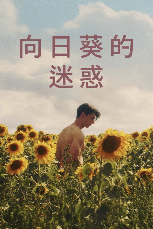 向日葵海报