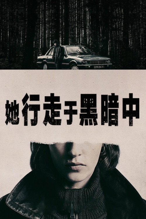 她行走于黑暗中海报