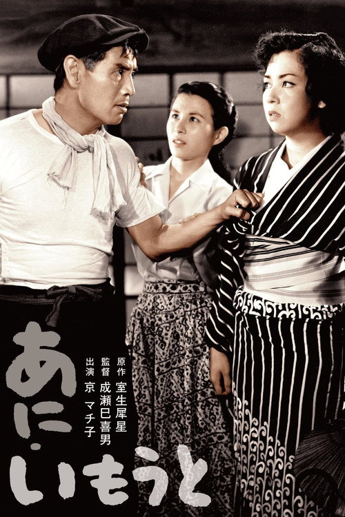 兄妹海报