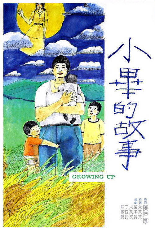 小毕的故事海报