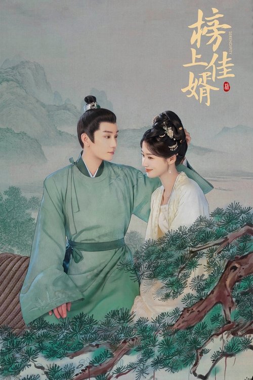 榜上佳婿海报