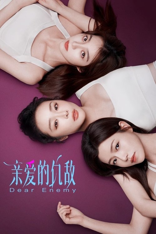 亲爱的仇敌海报