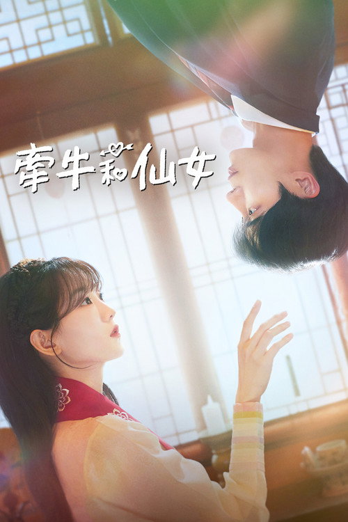 牵牛和仙女海报
