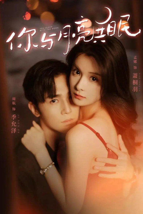 你与月亮共眠海报