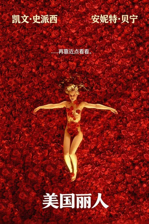 美国丽人封面