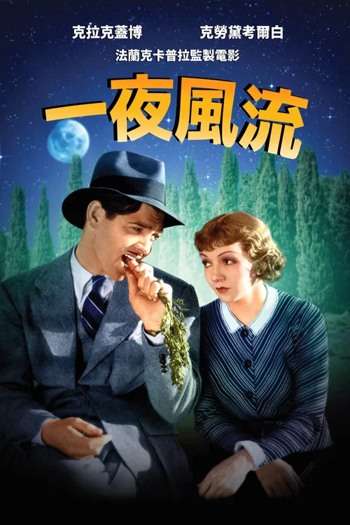 一夜风流封面