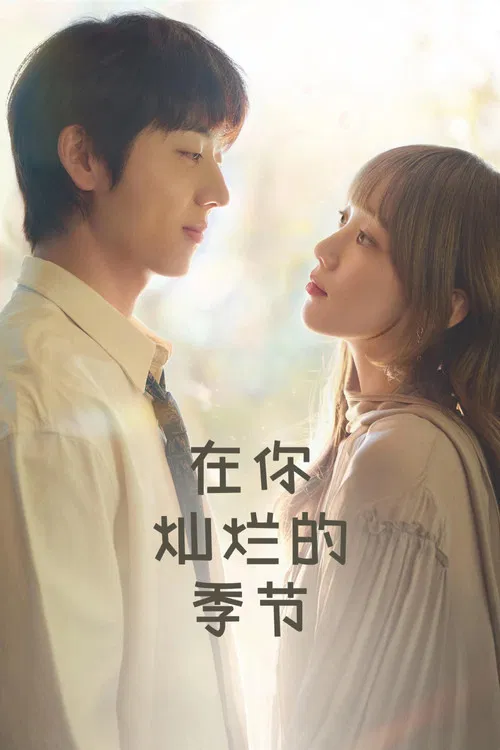 在你灿烂的季节封面
